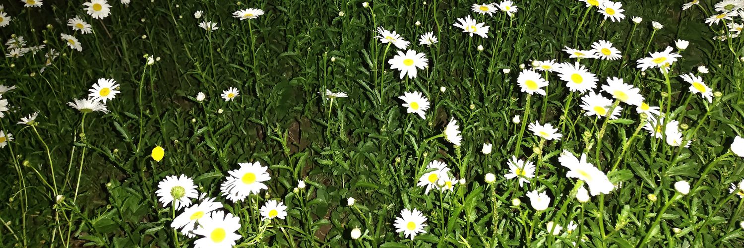 Defin1tion_'s profile banner image