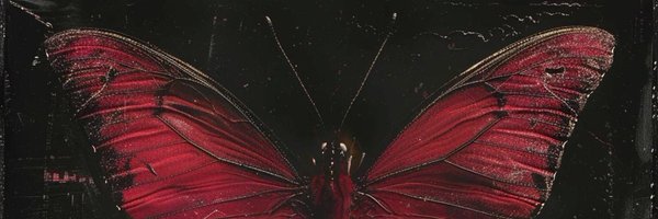 vissnekurusu Profile Banner
