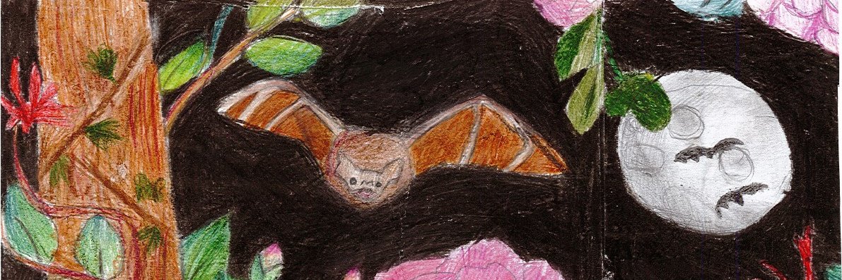 Kerry Biosphere Reserve banner