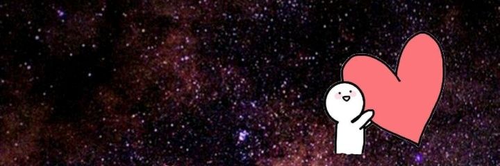 NZI banner