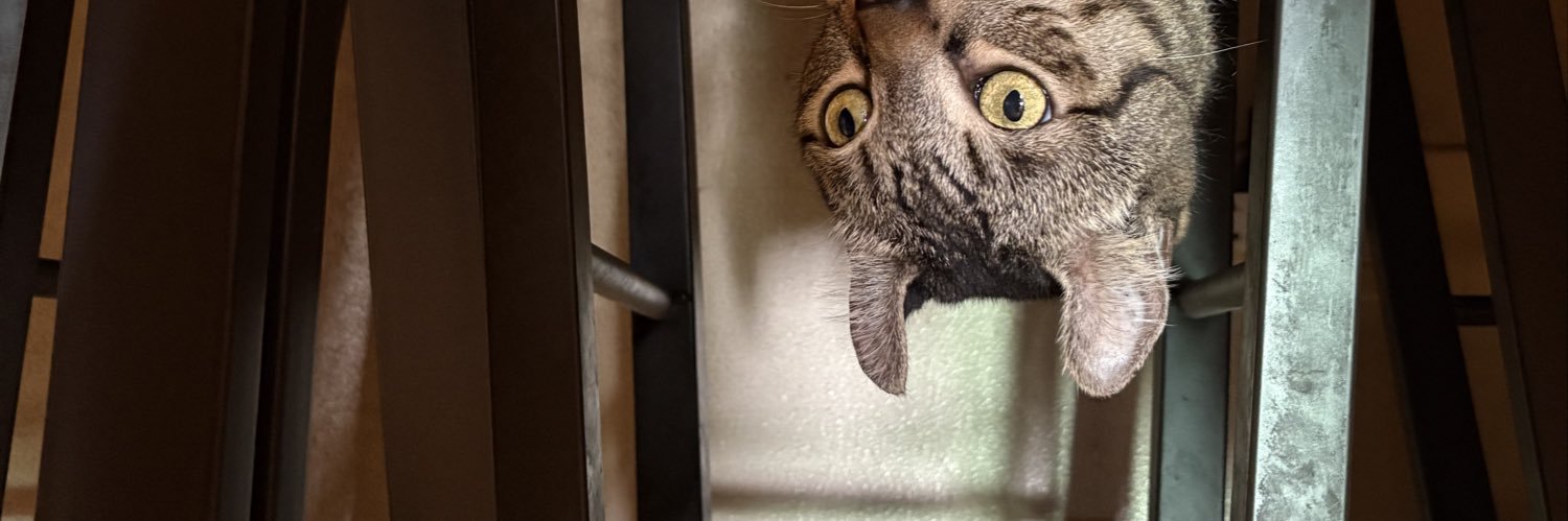 Ings 𓀮 🍞🍷✨ banner