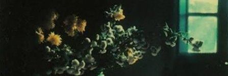 BarbaraPerversi's profile banner image