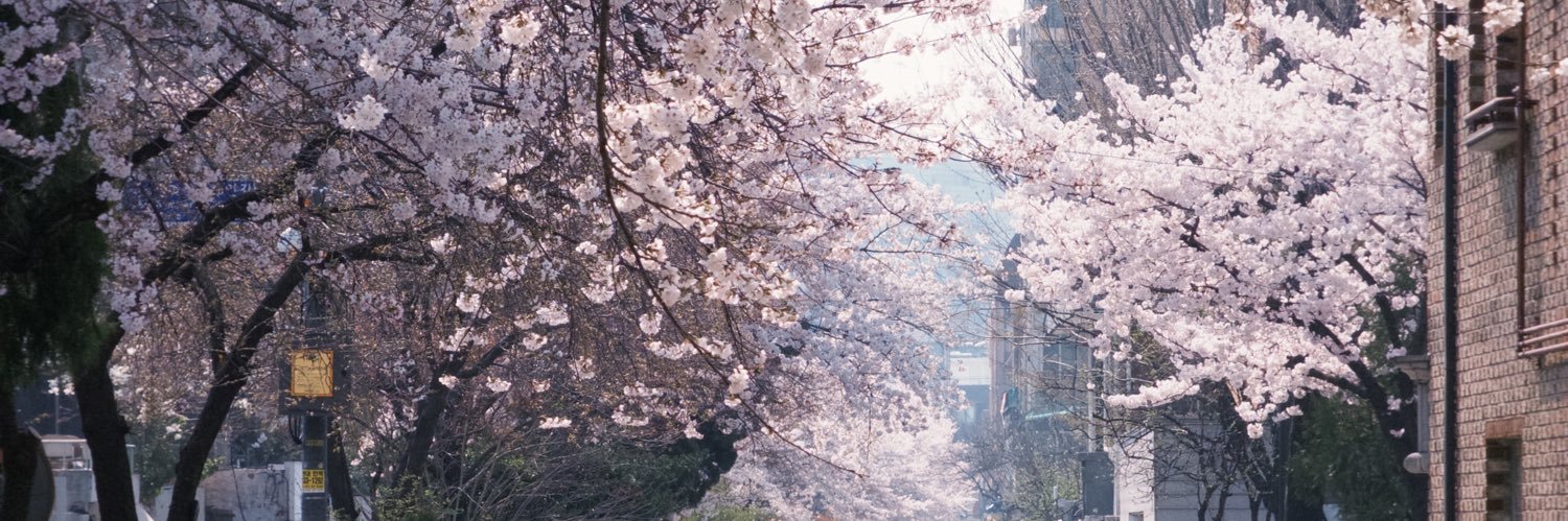 sarshin's profile banner image
