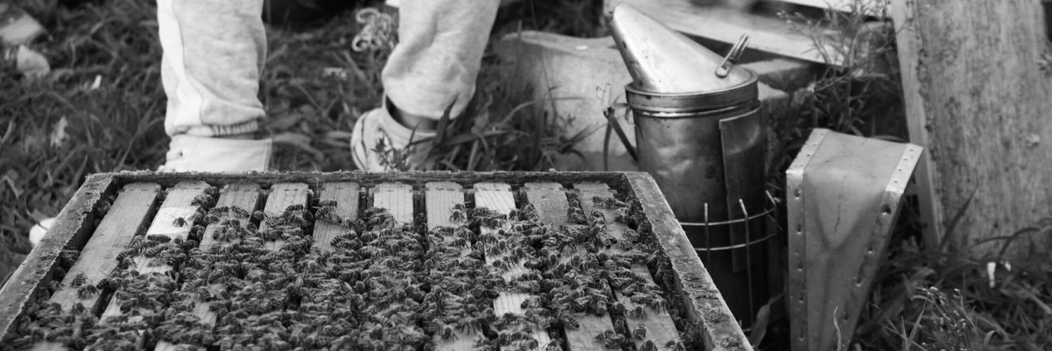 PSU Beekeepers Club banner