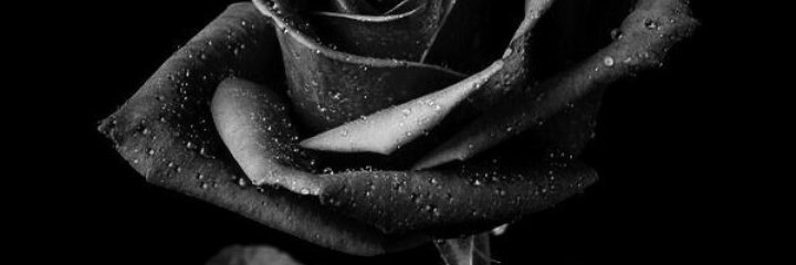 chintyadess's profile banner image