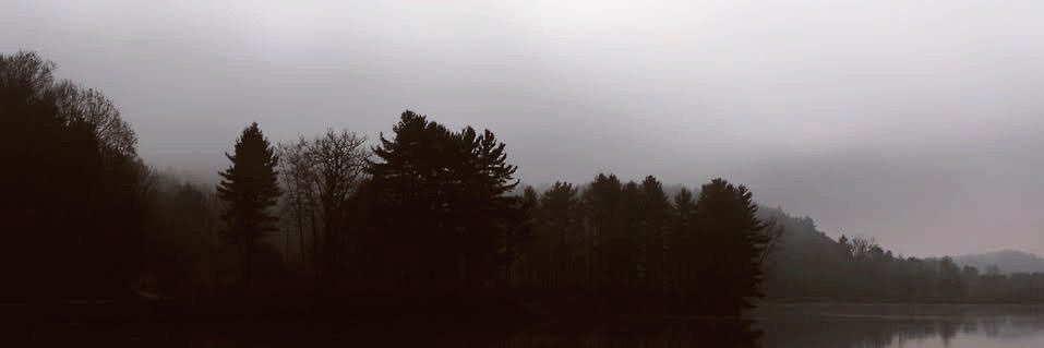 𓇢𓆸 ʙʟᴏᴏᴍɪɴɢ banner
