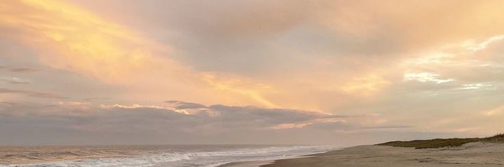 𝒑𝒊𝒆𝒕𝒘𝒆𝒆𝒕𝒊𝒆 banner