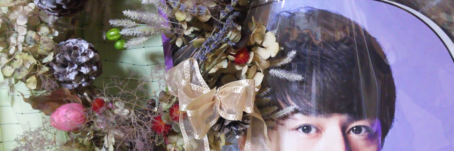 meorist's profile banner image