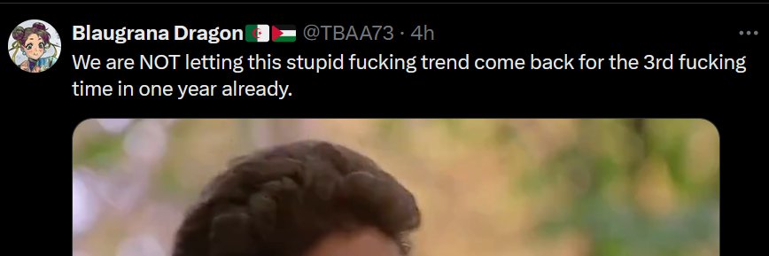 Teal the Capybara 🇲🇦🇵🇸🏴 banner