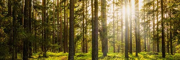 PBIOWriting's profile banner image