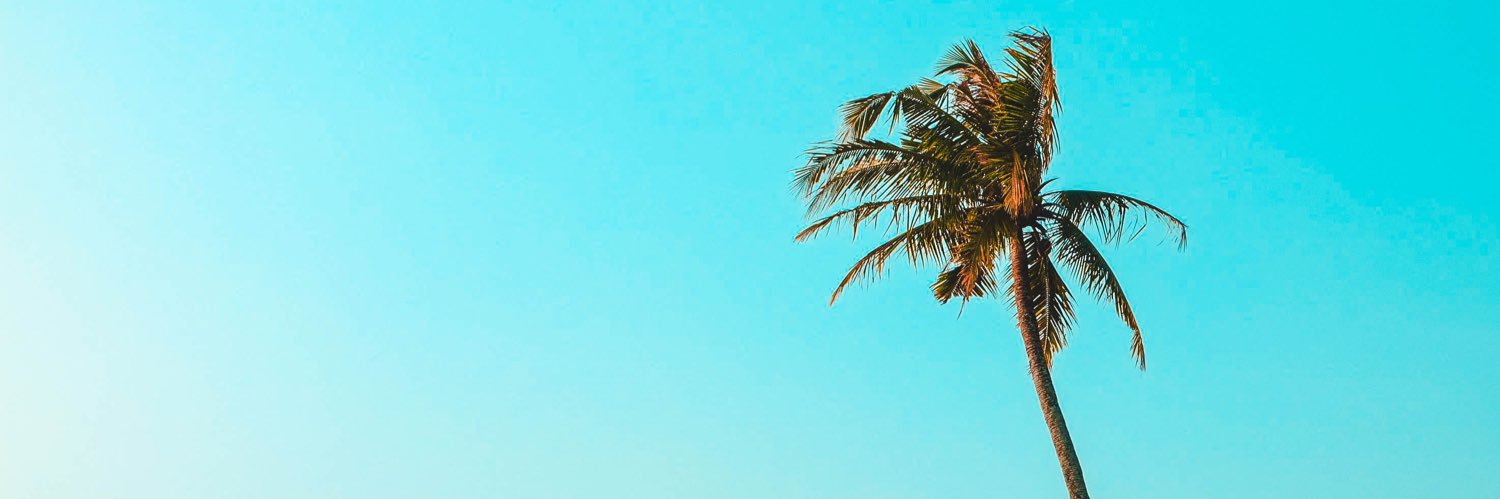 ℙ𝔼𝕊𝕆 𝕂𝔸𝕊ℍ 🇩🇴 banner