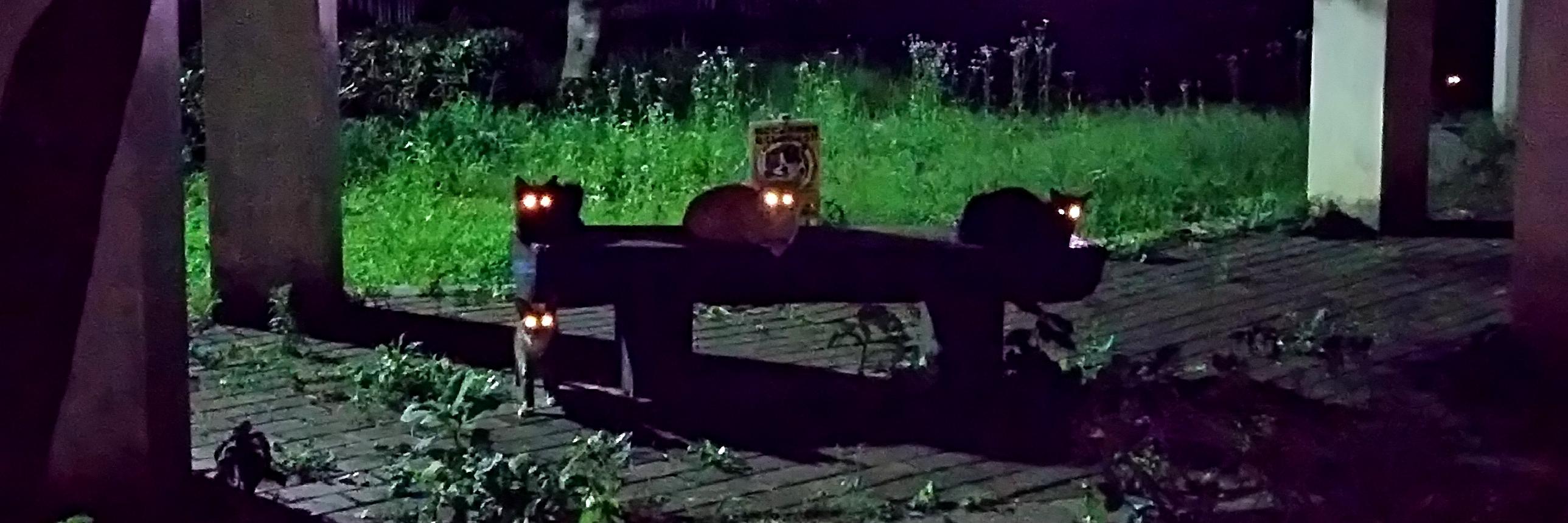 suffer_downer's profile banner image