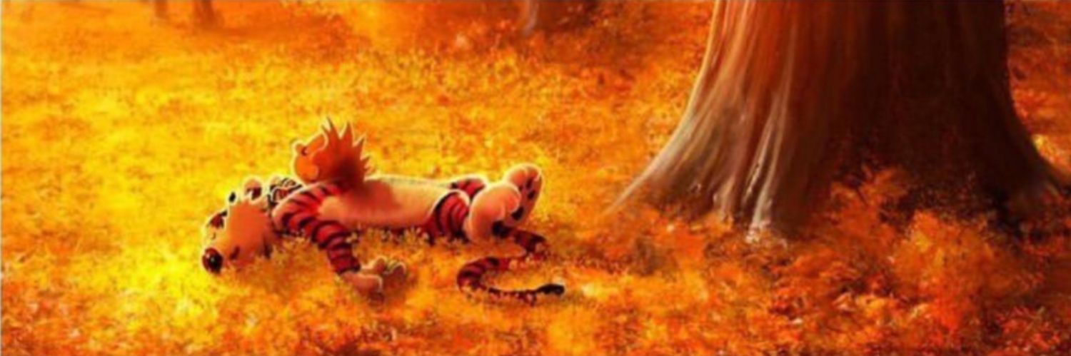 ThePreyingMatis's profile banner image