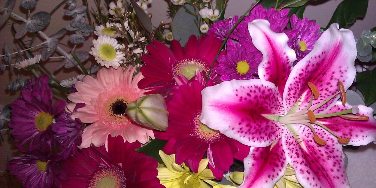 MsAnnetteWhite's profile banner image