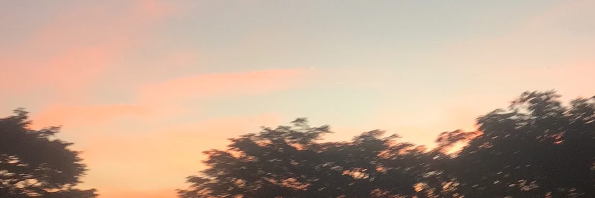 FernandoMir05's profile banner image