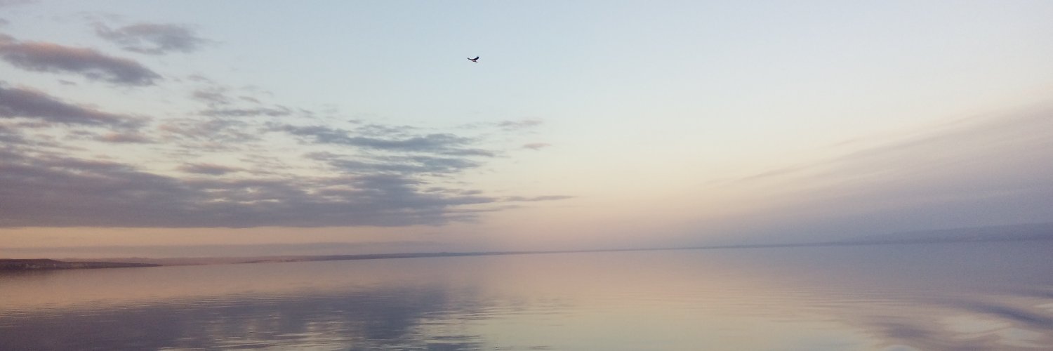 Ayesando9's profile banner image