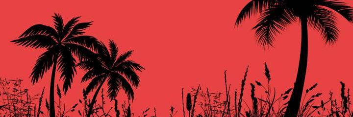 SomoGlebod's profile banner image