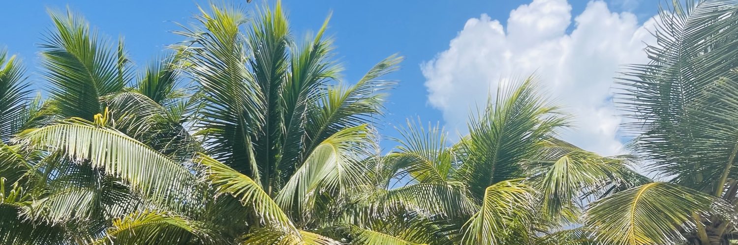 HighnessVee's profile banner image