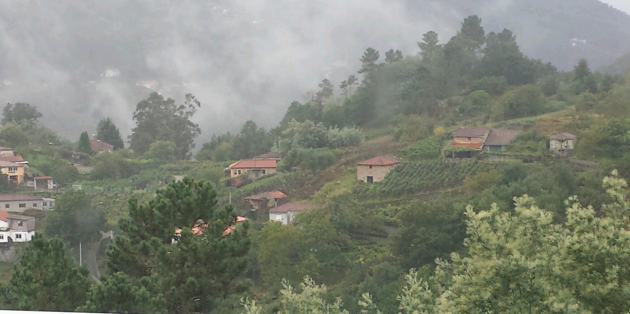 SeoaneGlez's profile banner image