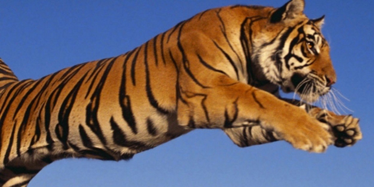 sandygkumar's profile banner image