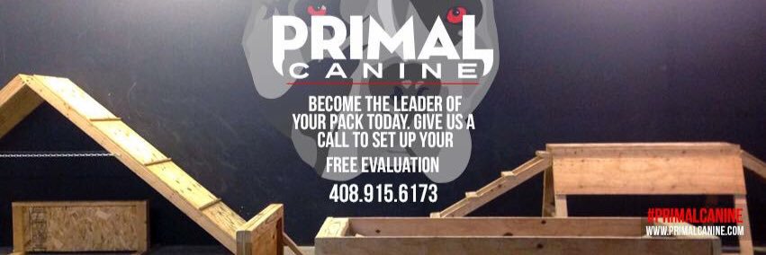 PrimalCanine's profile banner image