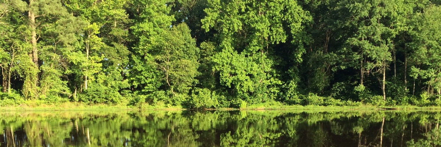 Sharon💙🏈 banner