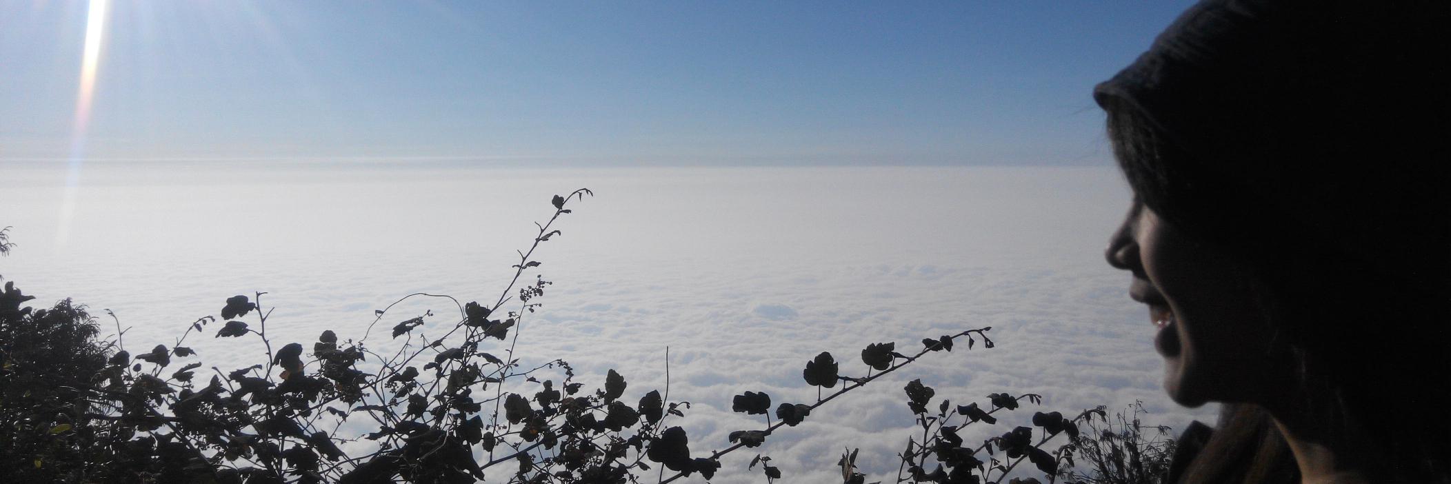 Arizkadwin's profile banner image