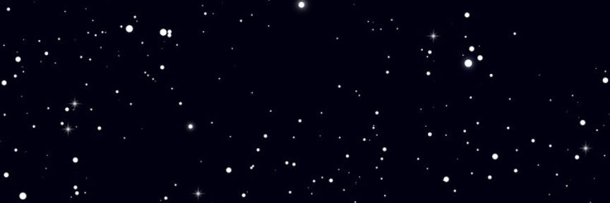 Venus Rose banner