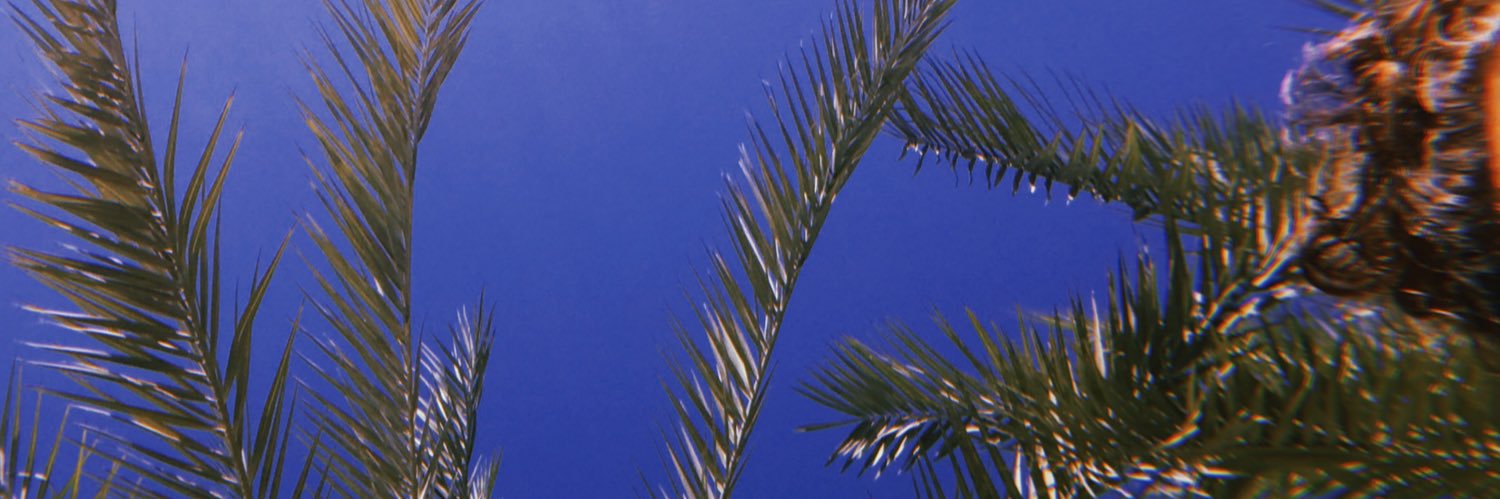 milliebales's profile banner image