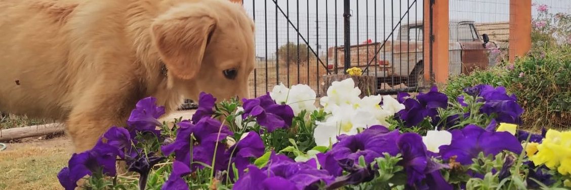 celeechacon's profile banner image