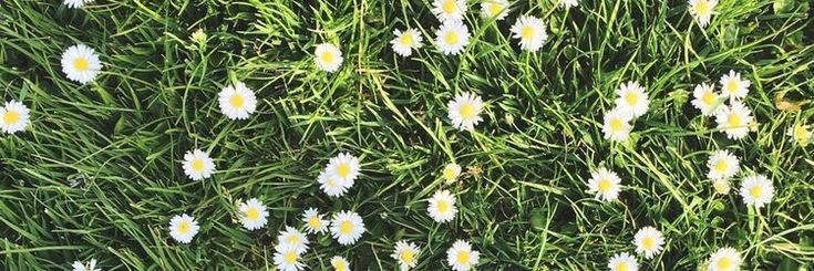 deasybelll's profile banner image