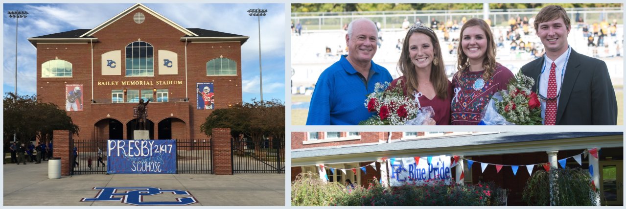 PC Blue Pride banner