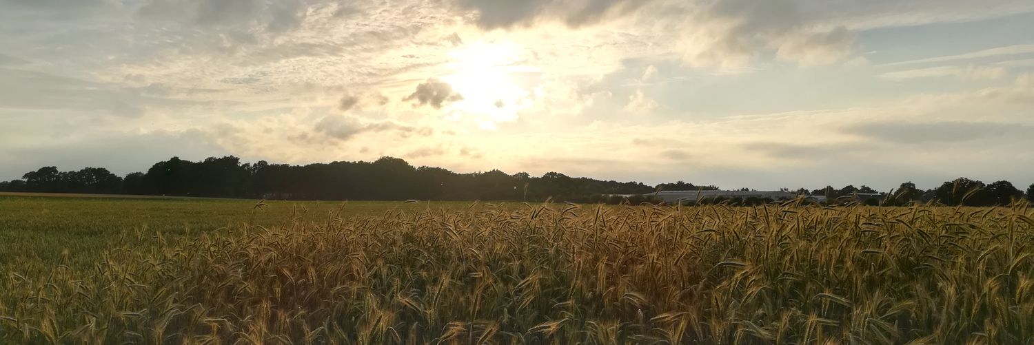bjoernkempf's profile banner image