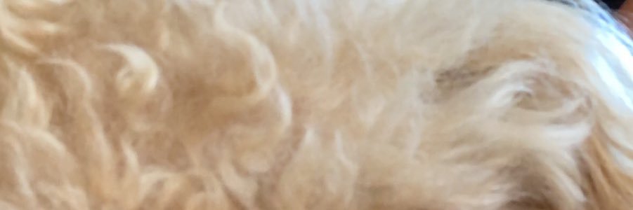 Realitywhore4's profile banner image