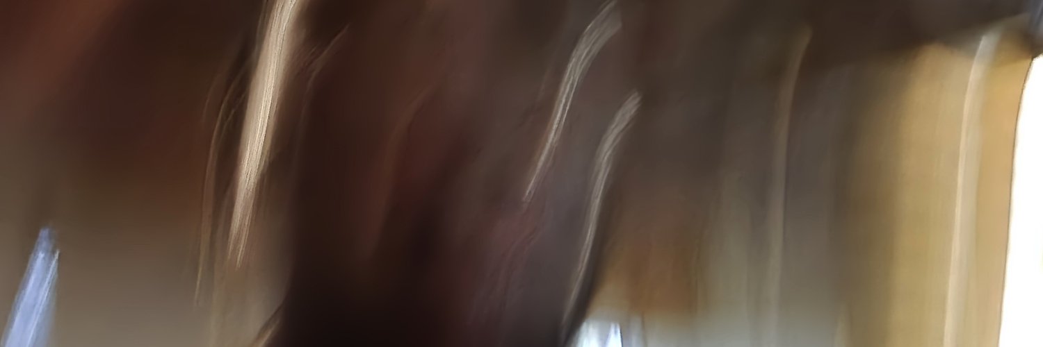NTOJinsain's profile banner image