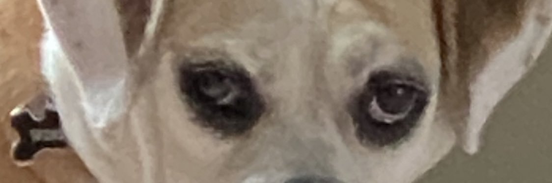 DoubleHG1's profile banner image