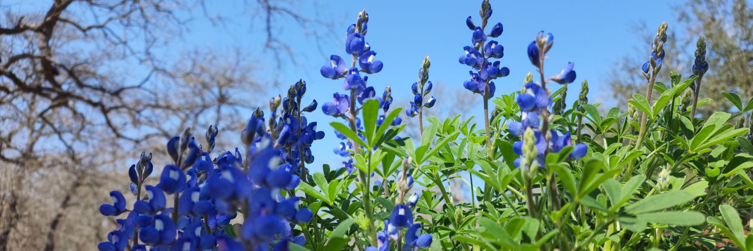 TheAmericanTexan Profile Banner