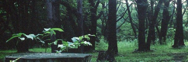 PLAYINGGAMES_YT Profile Banner