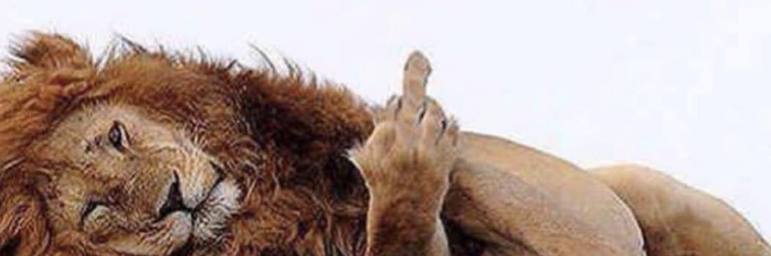Parrish Thurman banner