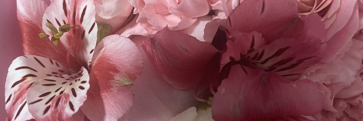 moonlightvalee's profile banner image