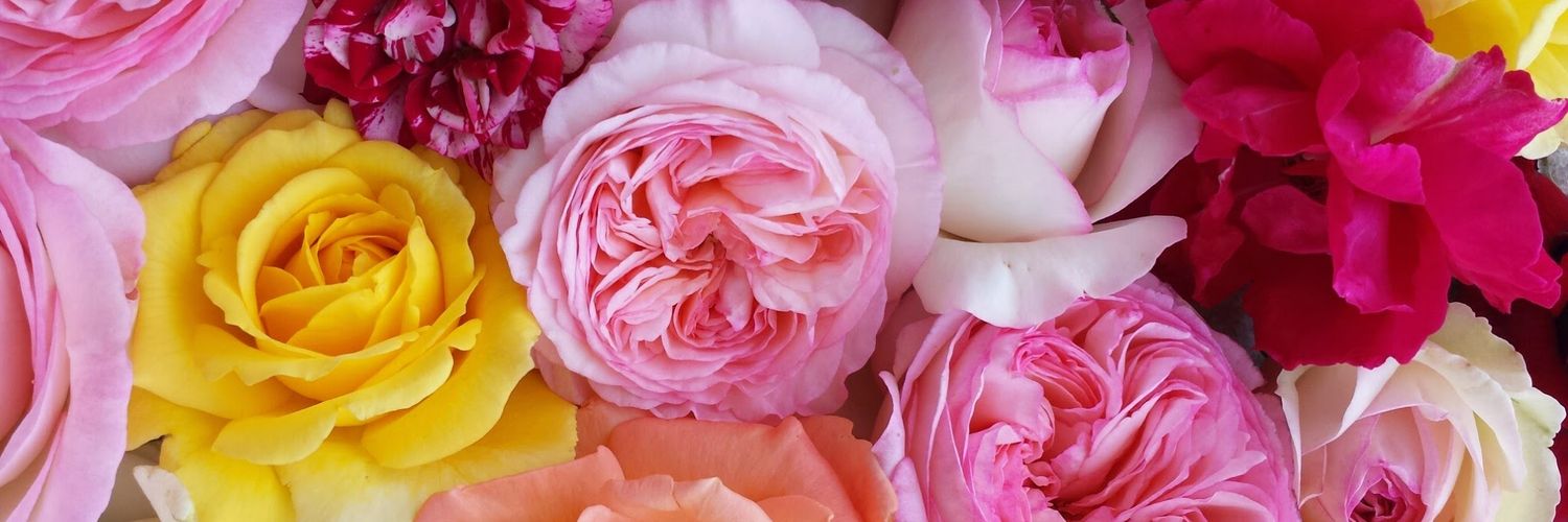 1973_mayu's profile banner image
