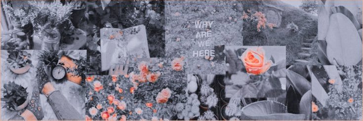 Gwen banner