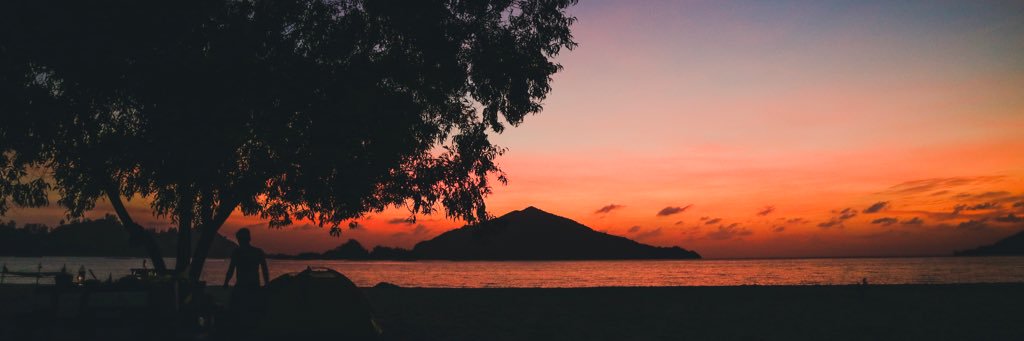 robinpads's profile banner image