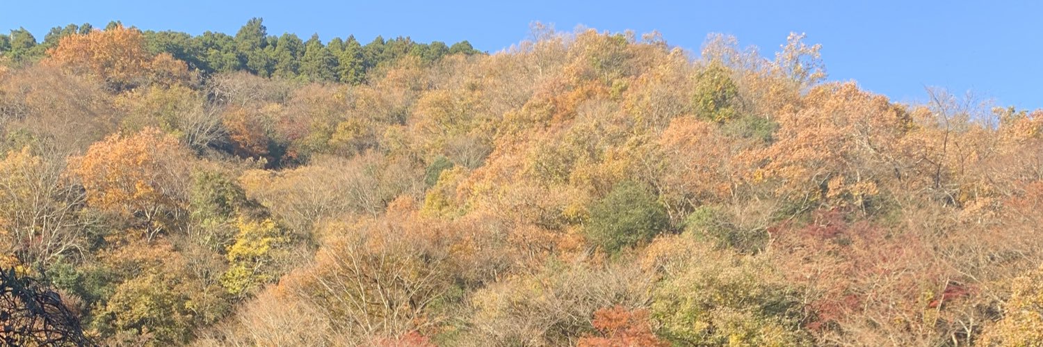 kamikaze89's profile banner image