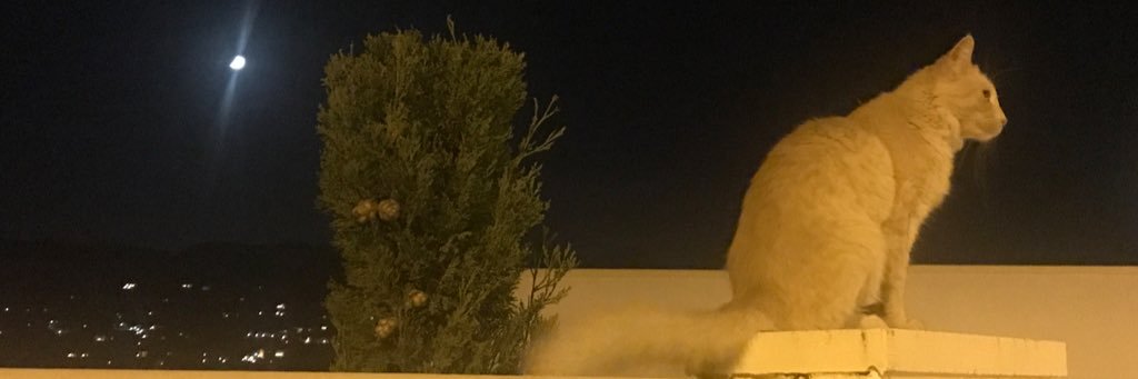 Dashhh91's profile banner image