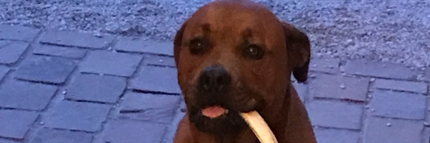 antoinepatraud's profile banner image