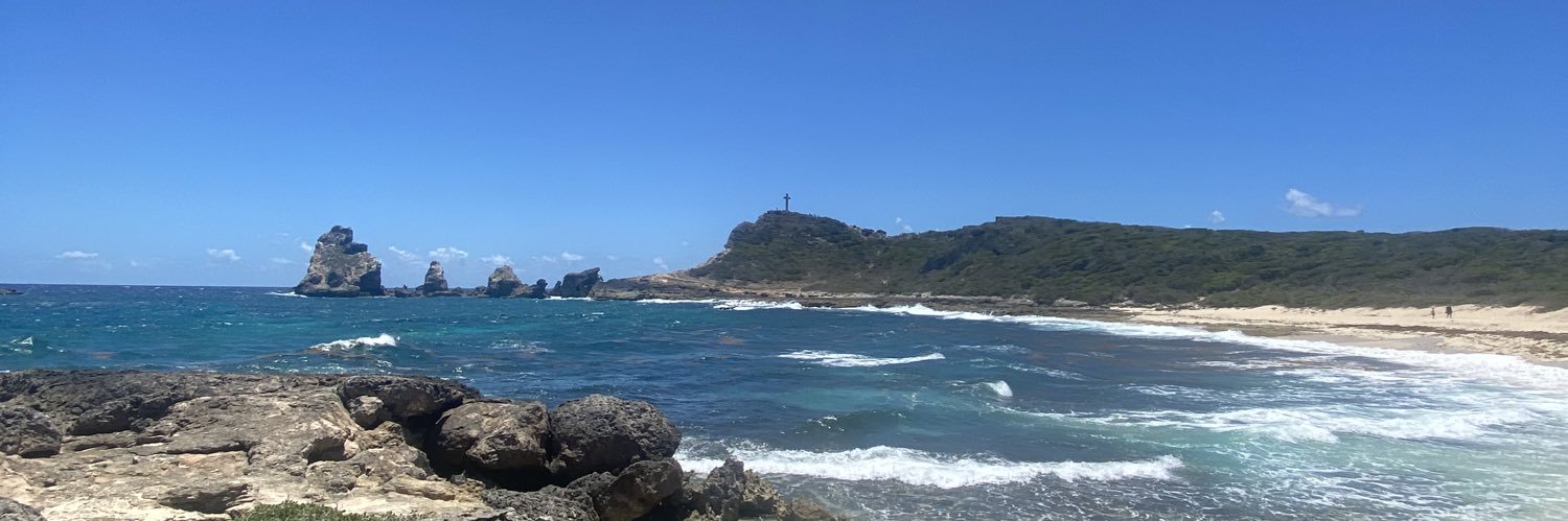 fau_yv's profile banner image