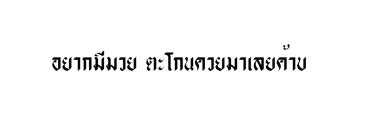 ไทเกอร์ banner