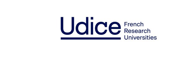 UdiceGroup Profile Banner
