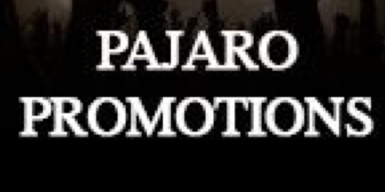 Pajaro_Promo's profile banner image